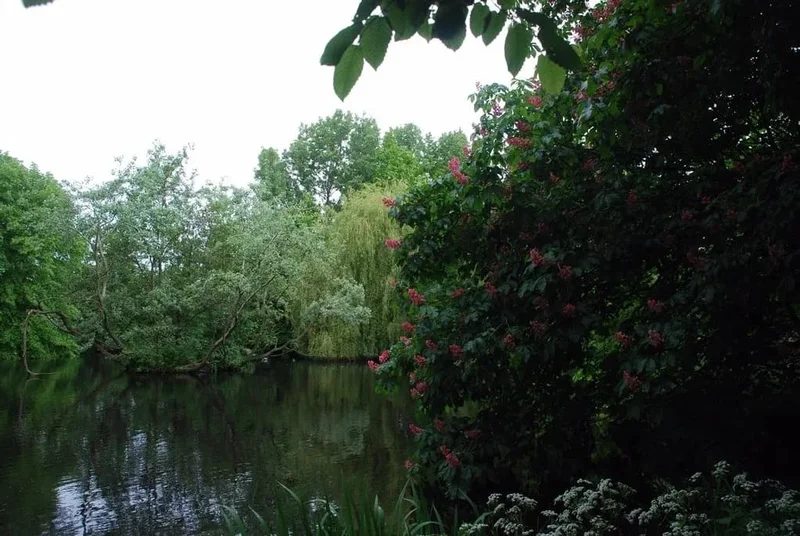 Heemtuin Hillegom
